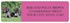 German Shorthair Pointer Address Labels Image 2