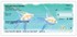 Ocean Wonders Checks Image 3